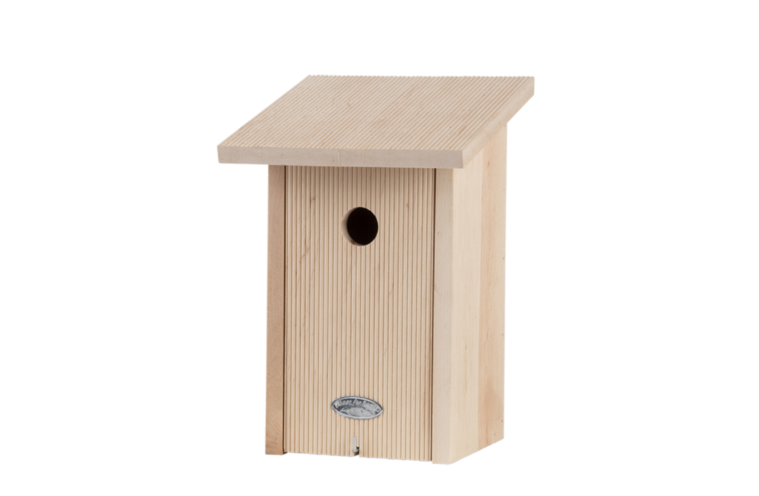 Koolmees nestkast in cadeaudoos