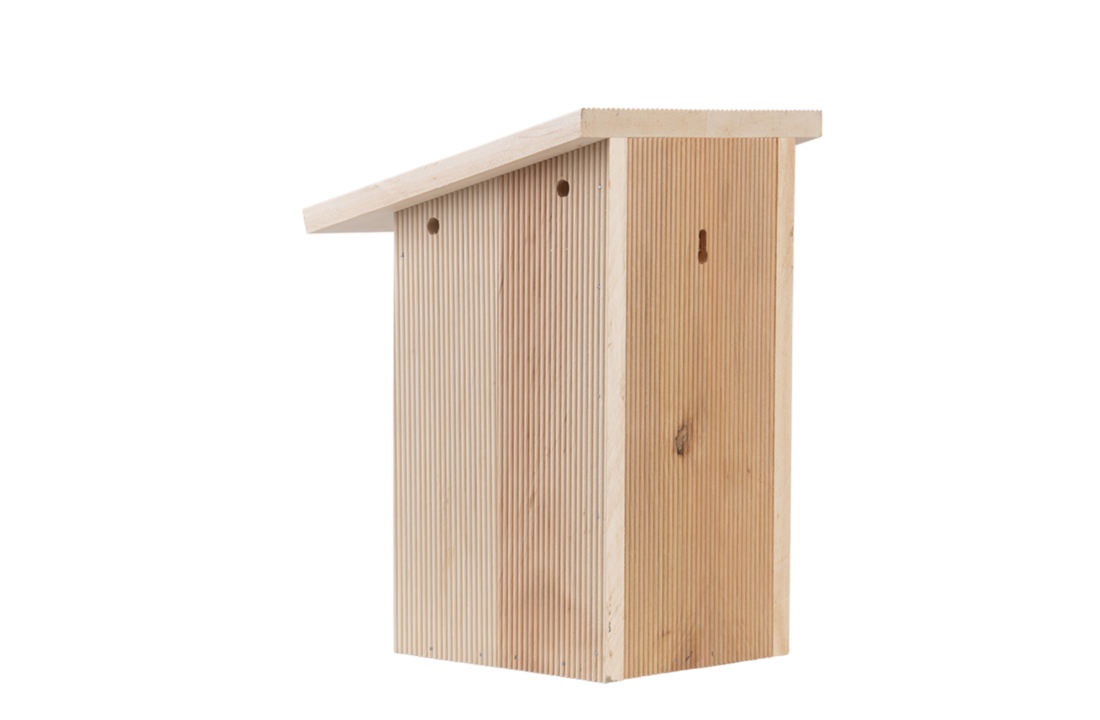 Koolmees nestkast in cadeaudoos