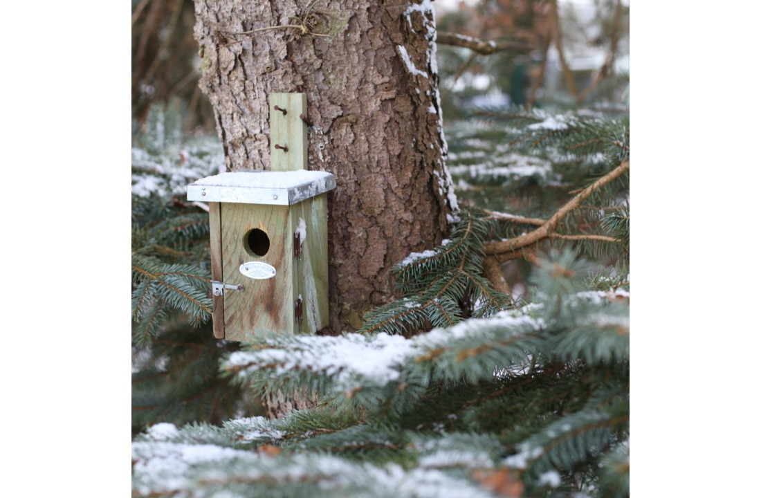 Esschert design - Nestkast winterkoning