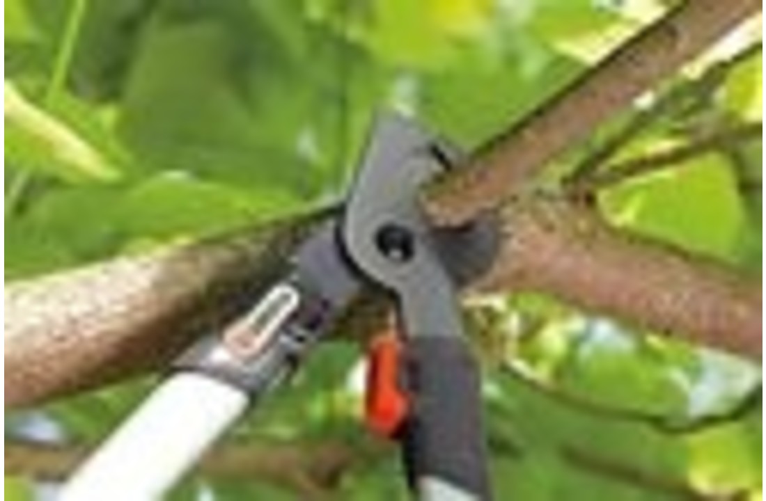 Gardena Easycut Heggenschaar - De Boer Gardena Easycut Heggenschaar - De Boer