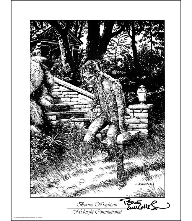 Artprint  Midnight Constitutional