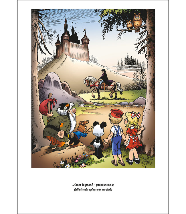 Douwe Dabbert 21 - Het gemaskerde opperhoofd - Collectors editie