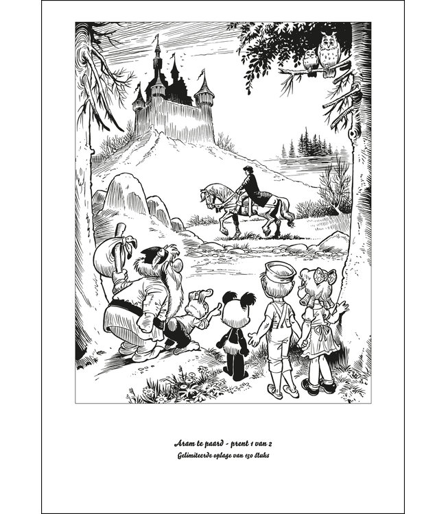 Douwe Dabbert 21 - Het gemaskerde opperhoofd - Collectors editie