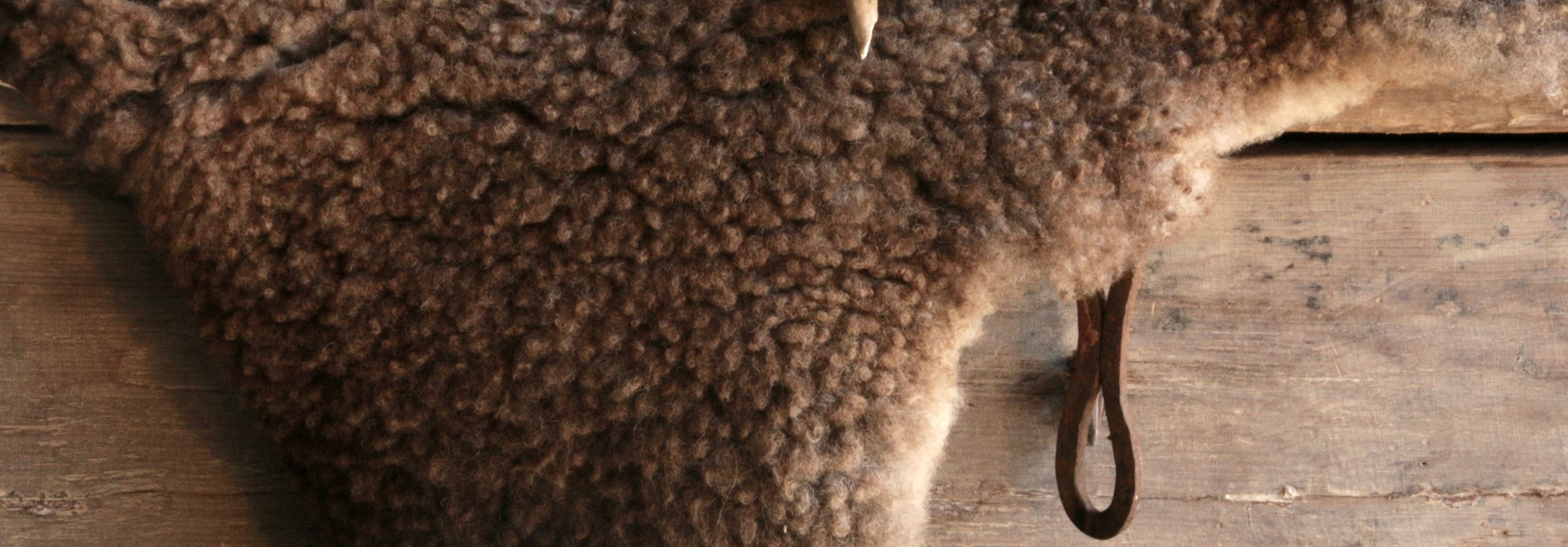 Schapenvachten | Authentieke & Natuurlijke Schapenvellen