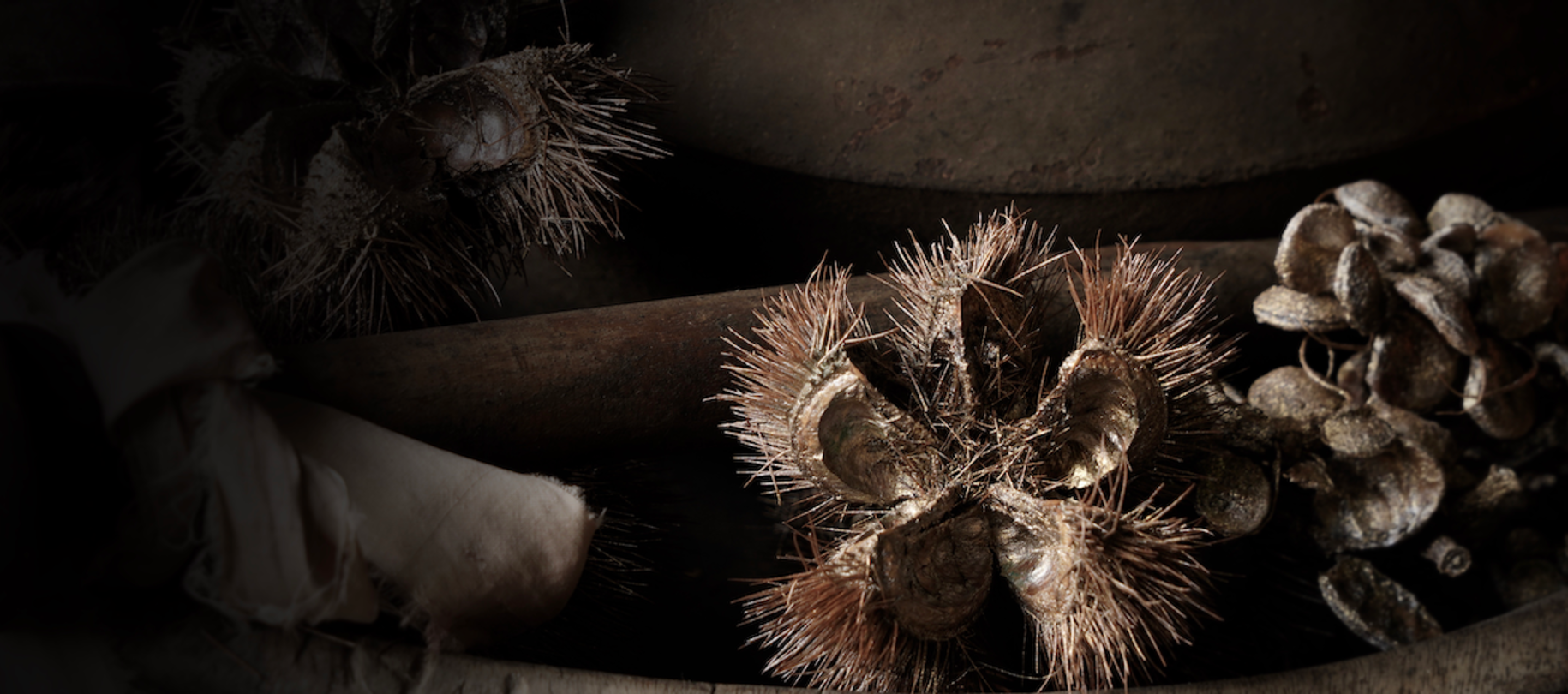 Decorative greenery & natural materials