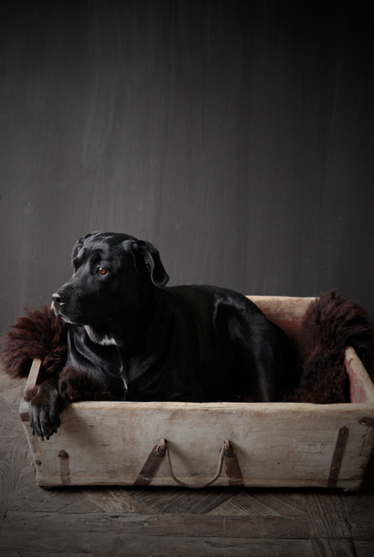 Old Wooden Trough /Bak