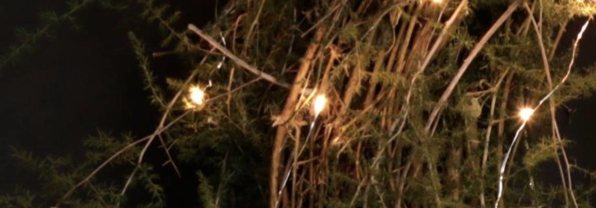 LED lights on copper wire with plug