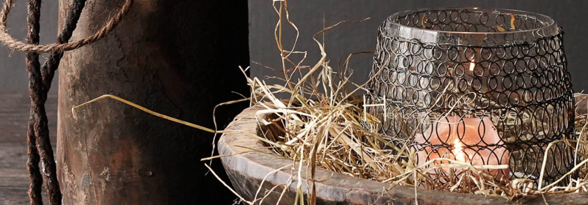Vogelnester und goldene Eier in einer Schachtel verpackt