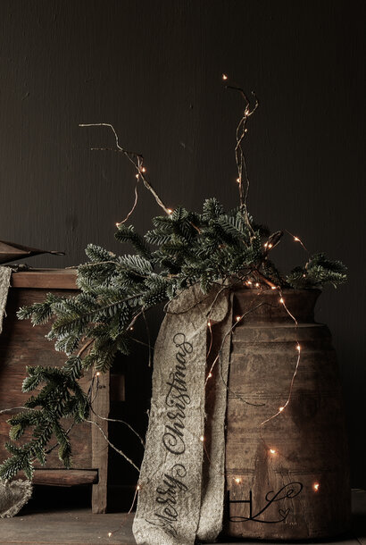 Een prachtige kunst kerst tak zilverspar