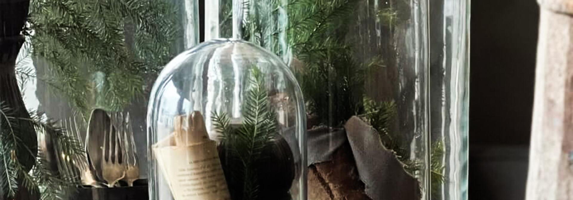 Glass bell jar with black wooden platform