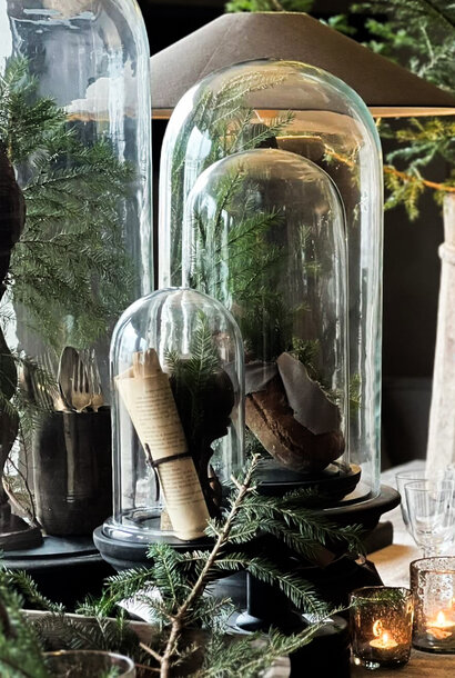 Glass bell jar with black wooden platform