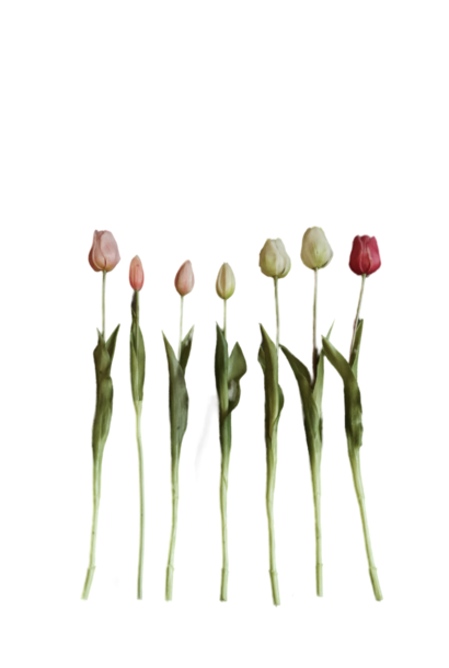 Bunch of artificial tulips