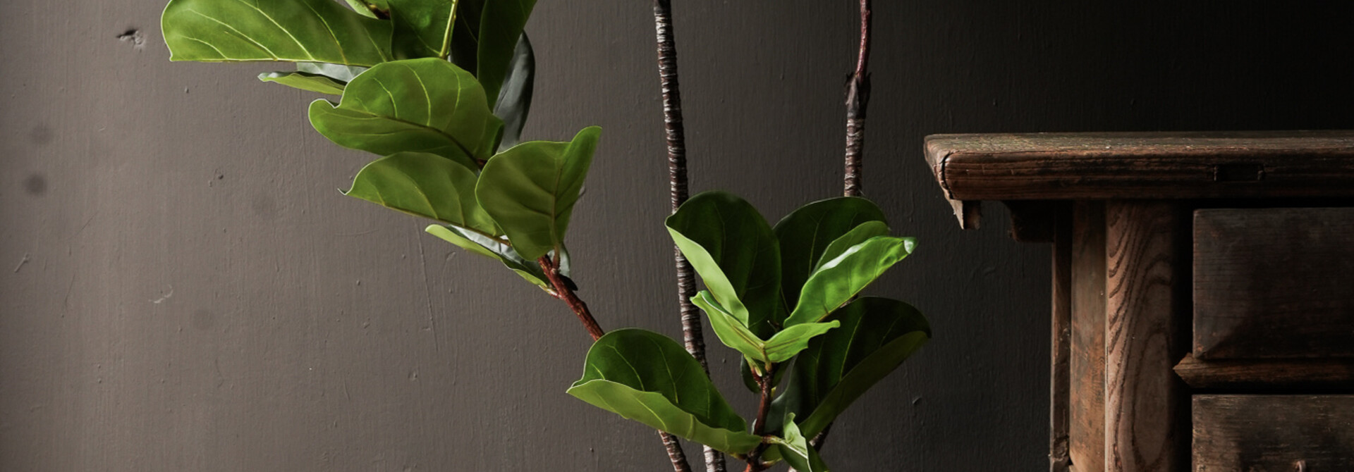 Artificial ficus 150cm