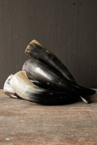 Cow horn polished