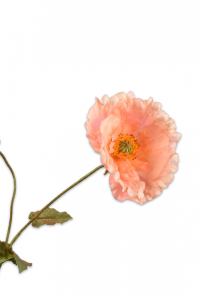 POPPY BRANCH PINK DK 67 cm