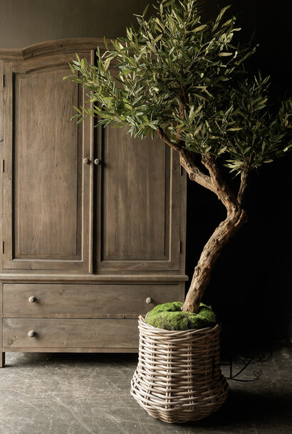 Artificial tree Olive with real trunk