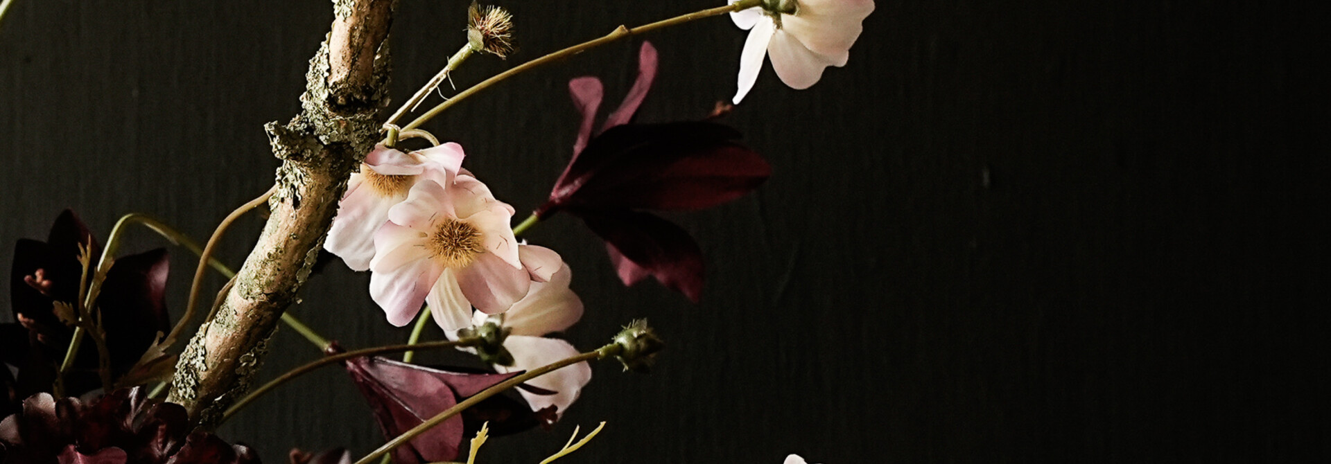 COSMOS TAK CR/ROZ RT