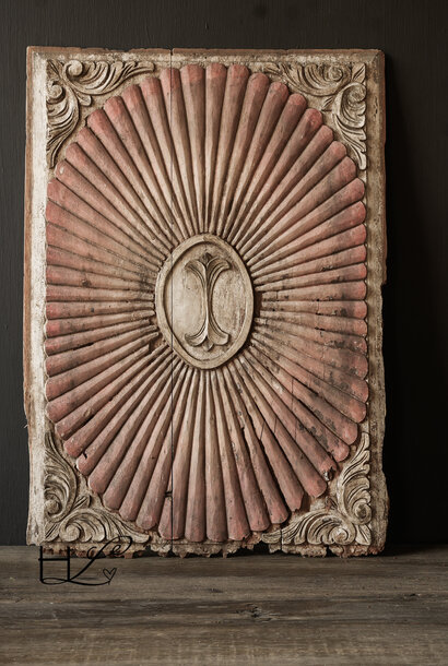 Prachtig wandpaneel /Muur paneel