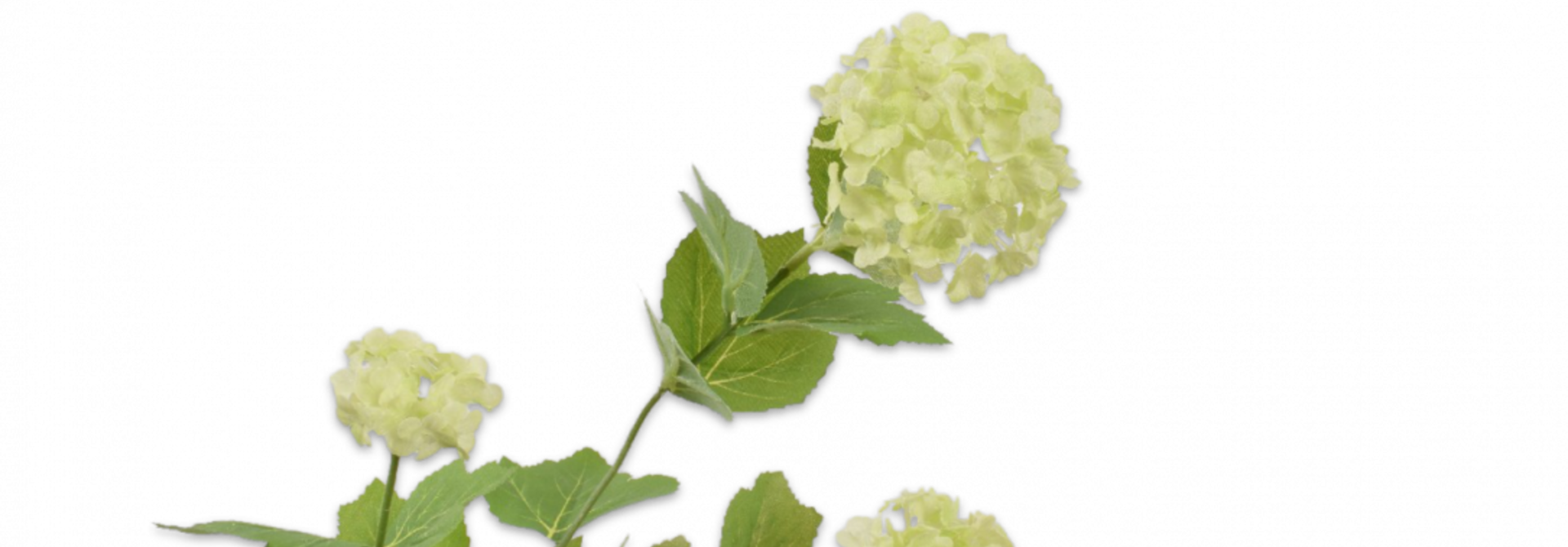 SNOWBALL branches green white SILK-KA