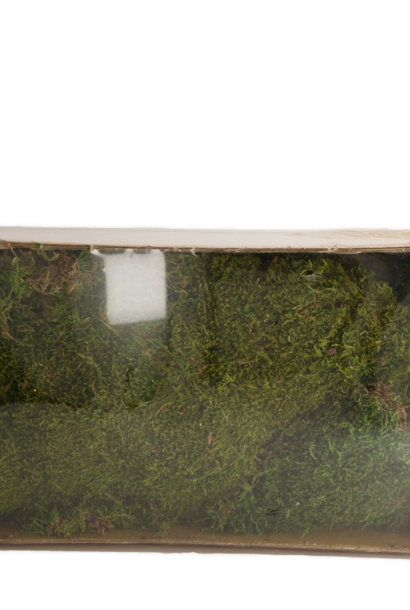 Schachtel mit 150 g getrocknetem Blattmoos