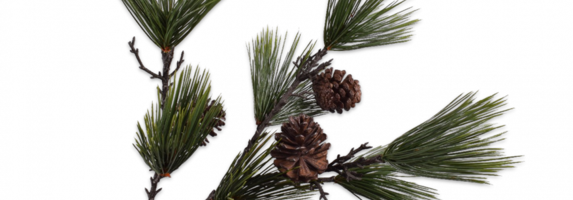 NEEDLE BRANCH PINE GREEN 78 cm