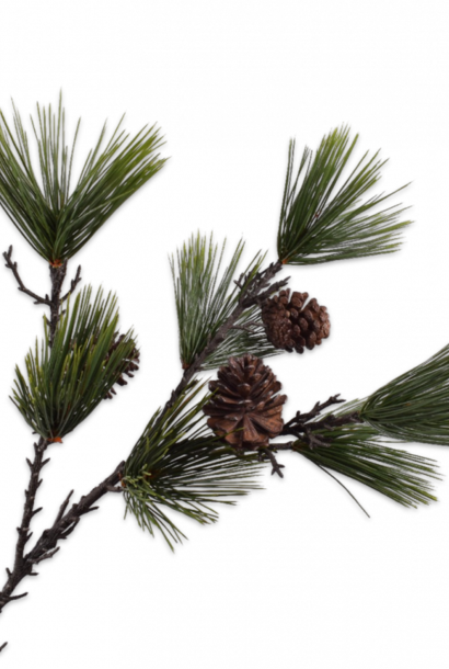 Nadelzweig Kieferngrün 78 cm