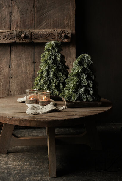 künstlicher Nobilis-Baum