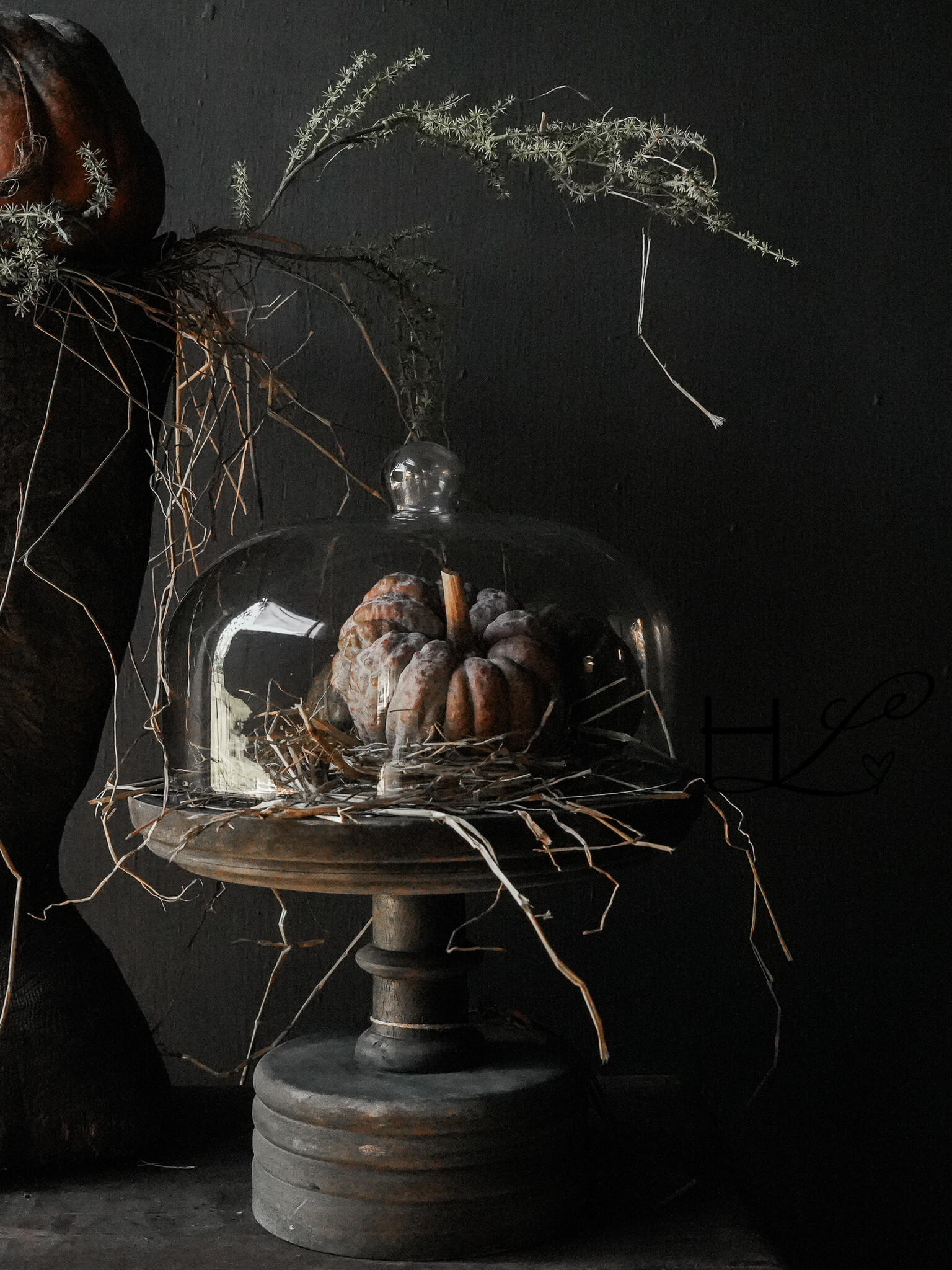 Cake dome or mini dome from Aura Peeperkorn-5