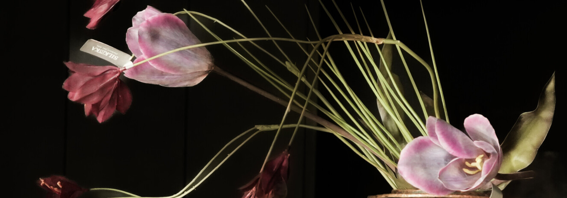 TULIP STEEL PRS/BL 72 cm