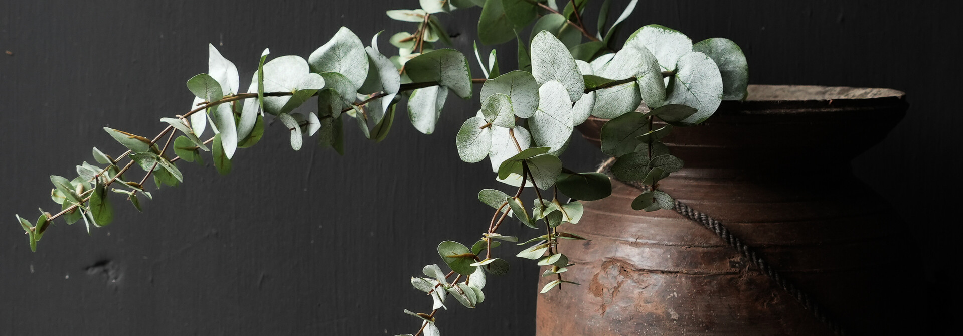 Wunderschöner Kunst-EUKALYPTUS-ZWEIG