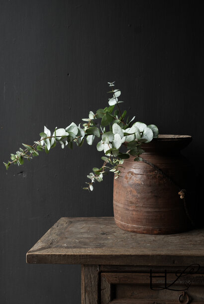 Prachtig  Kunst EUCALYPTUS TAK