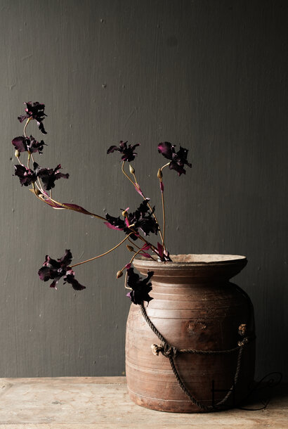 Iriszweig BORDEAUX 125 cm