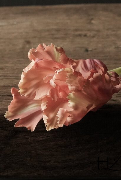 TULIP STEM PEACH RT 71 cm Real touch