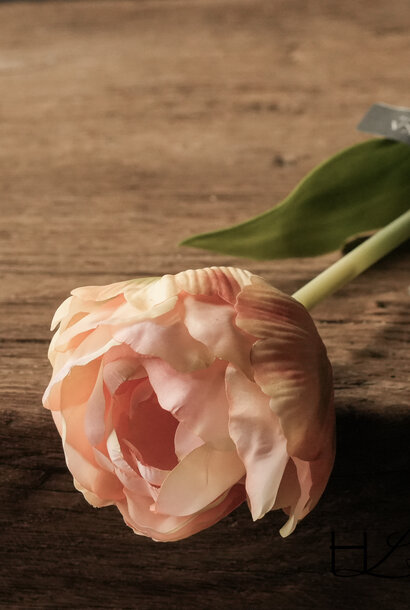 TULPENGRIFF PZK/GRN 66 cm