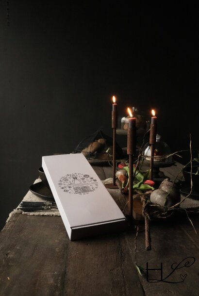 Kado doos Tulp Rood beauty 46cm 12 stuks