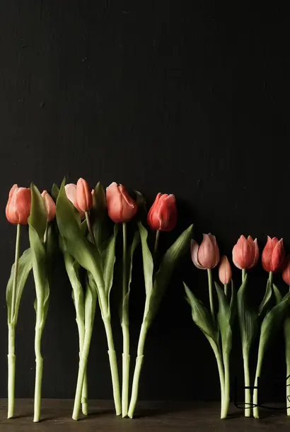 Bunch of Tulips Salmon Mix – Ruisdael / Sally