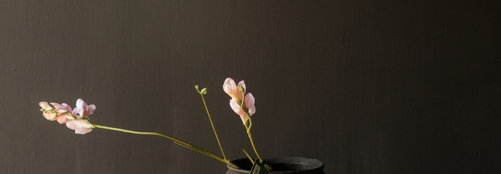 FREESIA TAK ROZE LT RT 78 cm