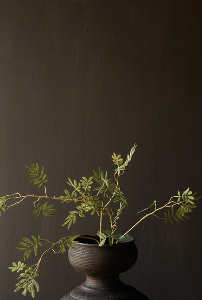 MIMOSA TAK GROEN 96 cm