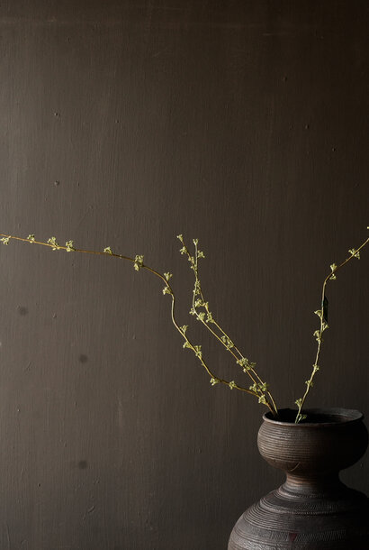 SPIREA TAK GROEN 121 cm