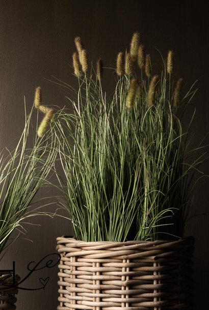 artificial grass Phalaris Reed grass with plumes