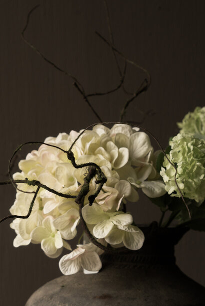 HORTENSIA STEEL CR/GRN 48 cm