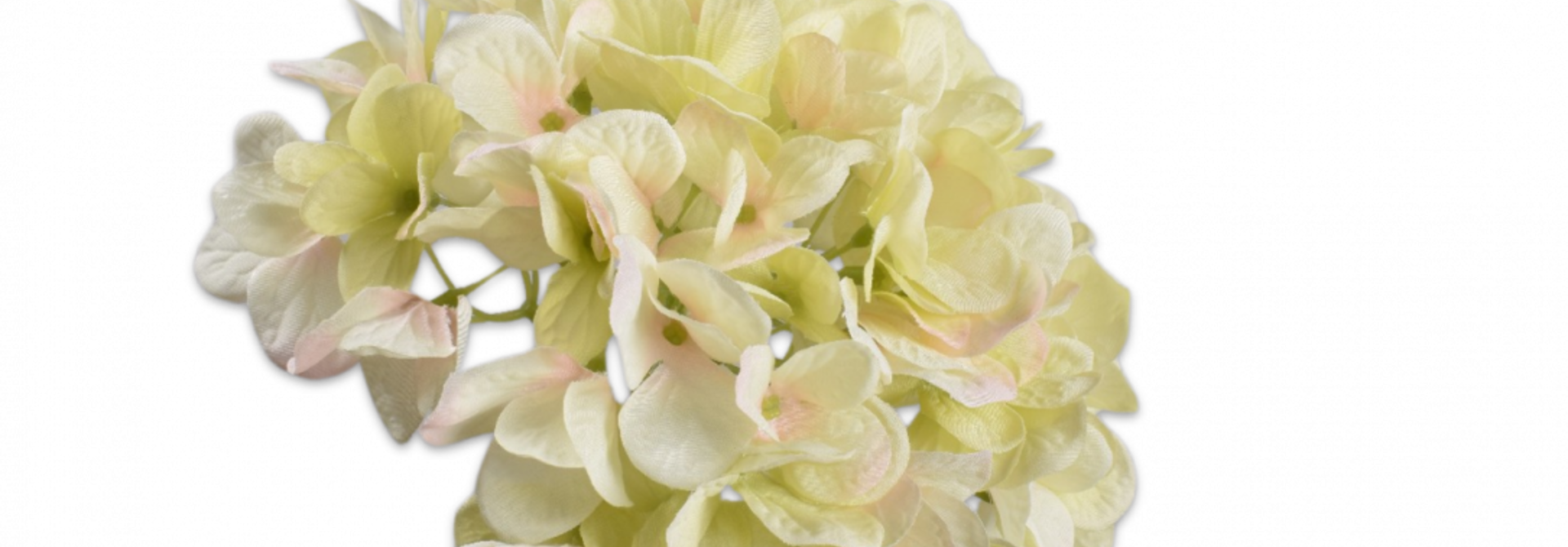 HORTENSIA STEEL CR/GRN 48 cm