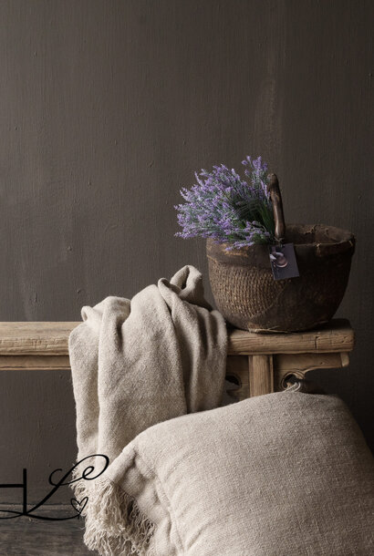 LAVENDEL BUSH LAVEND 45 cm