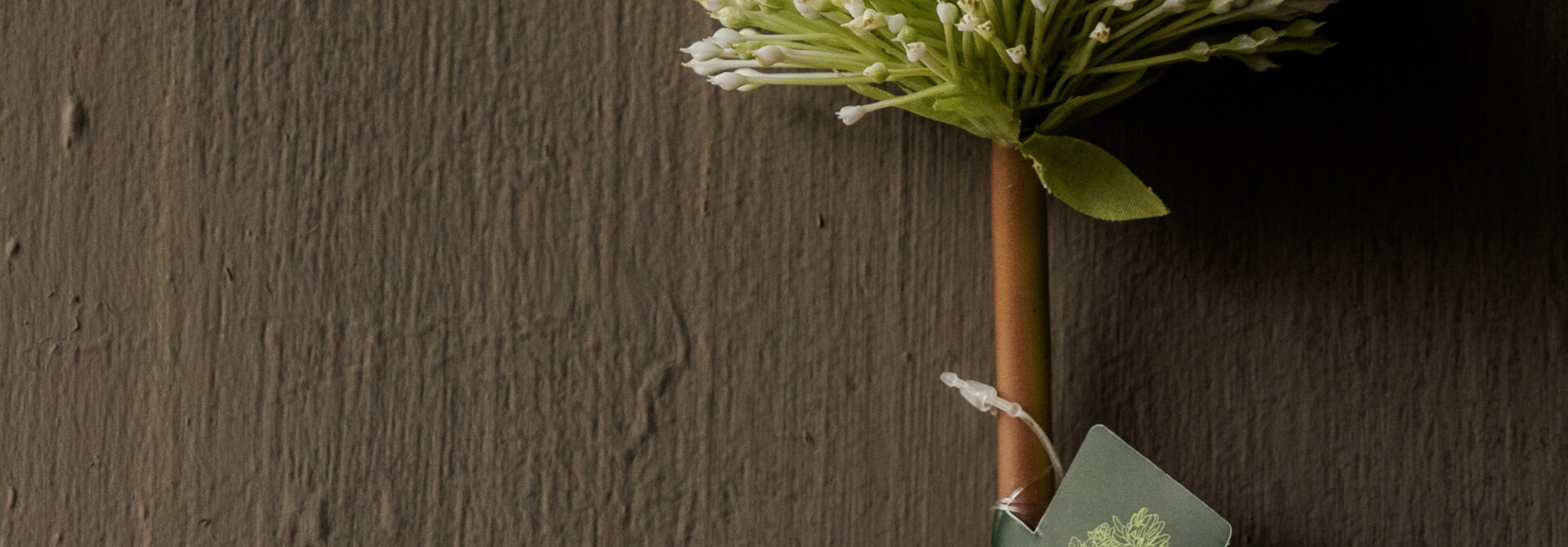 ALLIUM STEEL GROEN 78 cm