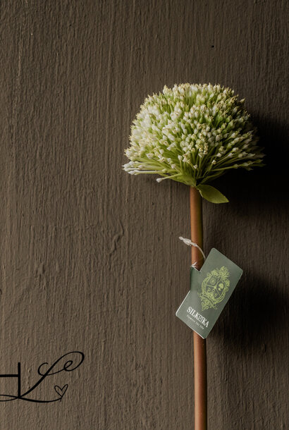ALLIUM STEEL GROEN WIT 78 cm