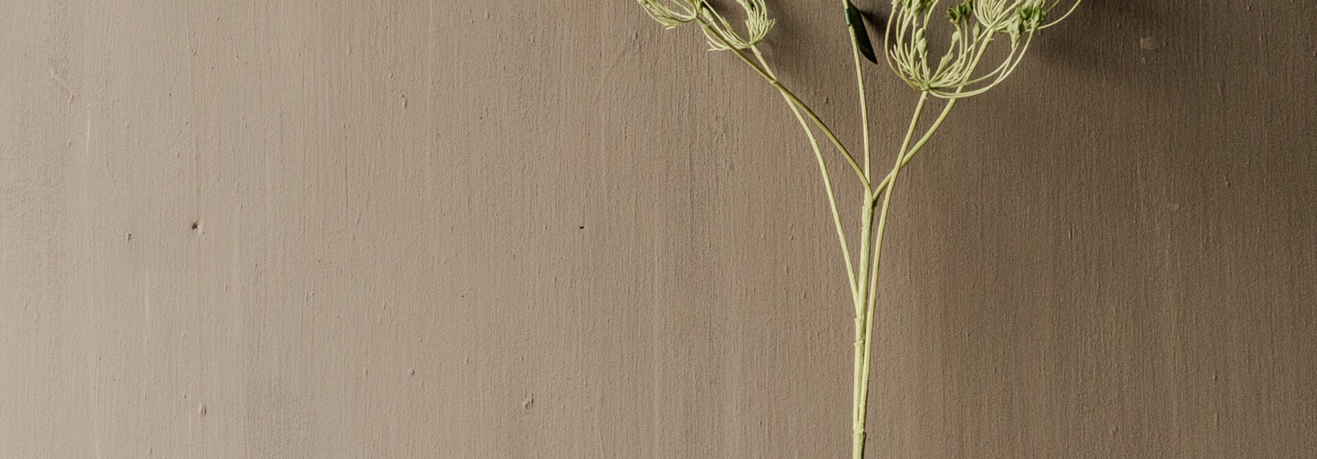 DILLE TAK GROEN 83 cm