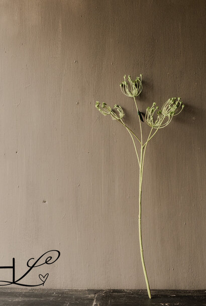 DILLE TAK GROEN 83 cm