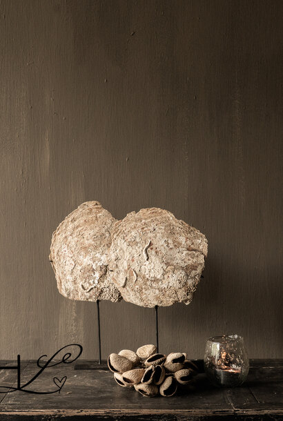 RESERVED Large Oyster Shell on Stand – Unique Natural Decoration