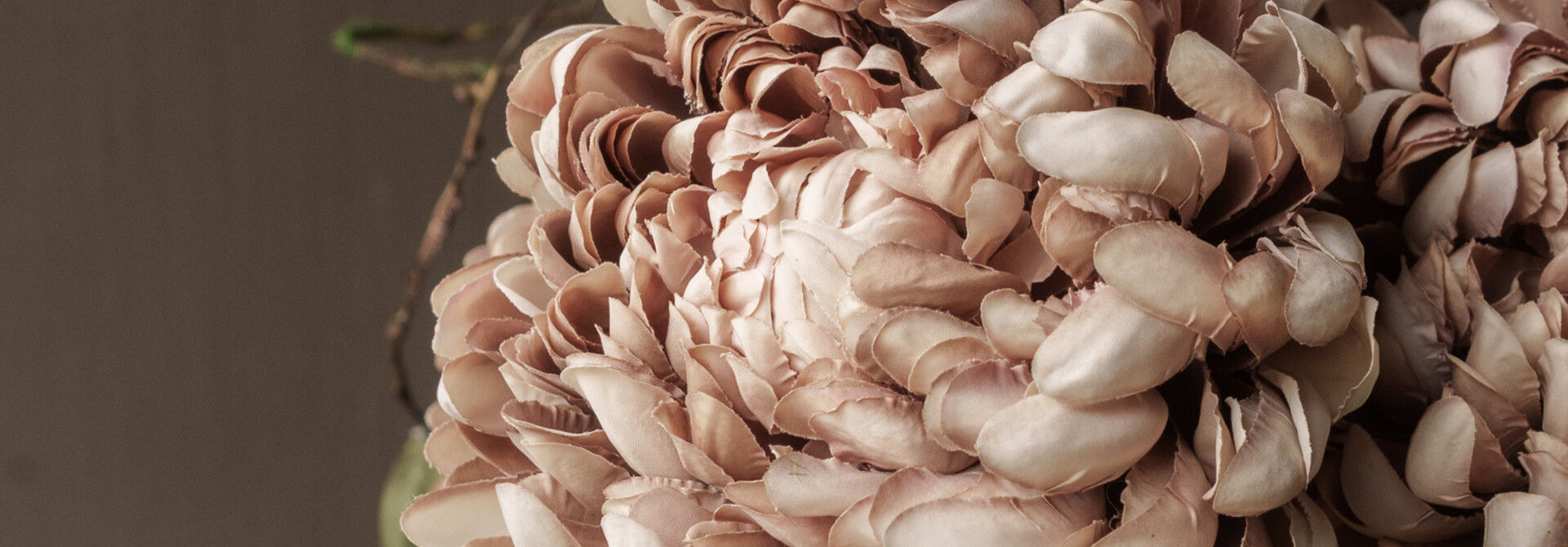 CHRYSANT TAK zalm / oud roze 64cm