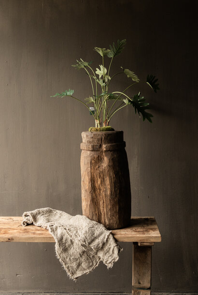 PHILODENDRON GRÜN 56 cm Art.-Nr. 157005